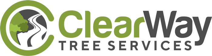 ClearWay Tree Trimming Solutions gallery 7