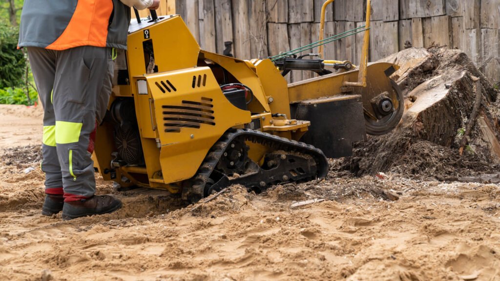 Tree Trimming Service Costs in Westlake, Los Angeles