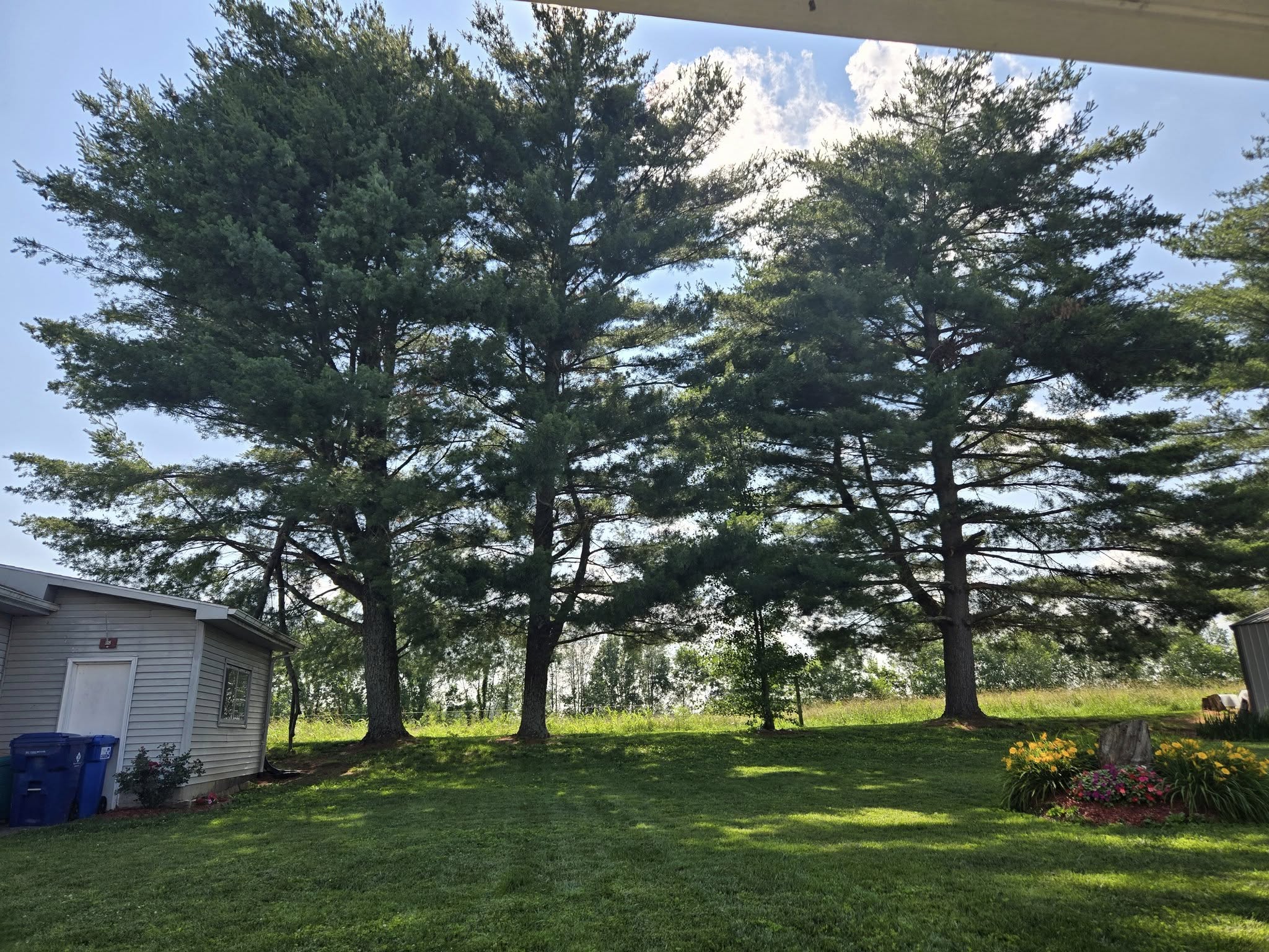 505105355_10227032615533578_596628872575591275_n